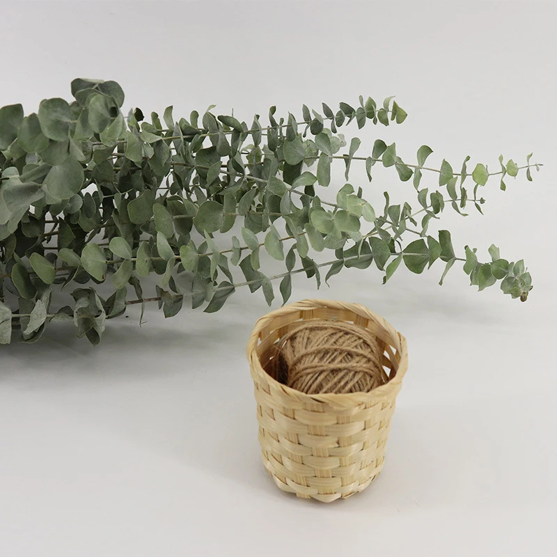 Wholesale dried flowers and plant flowers bouquet natural eucalyptus leaves for home weeding decoration
