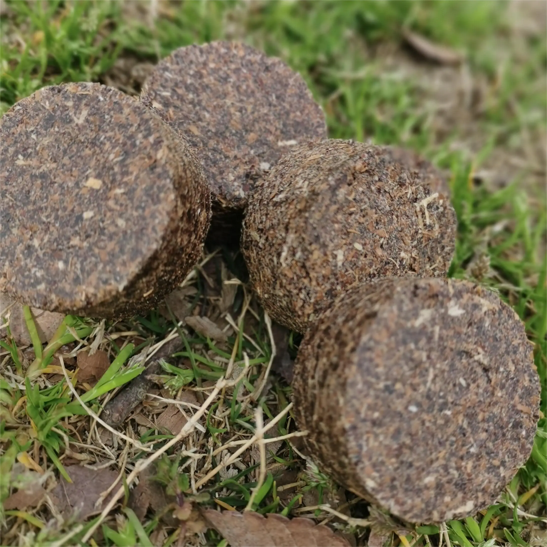 Eco Instant BBQ Fire Starter round Wood Charcoal Accessory with Paraffin Camping Lighter Waterproof Outdoor Cooking Firelighter