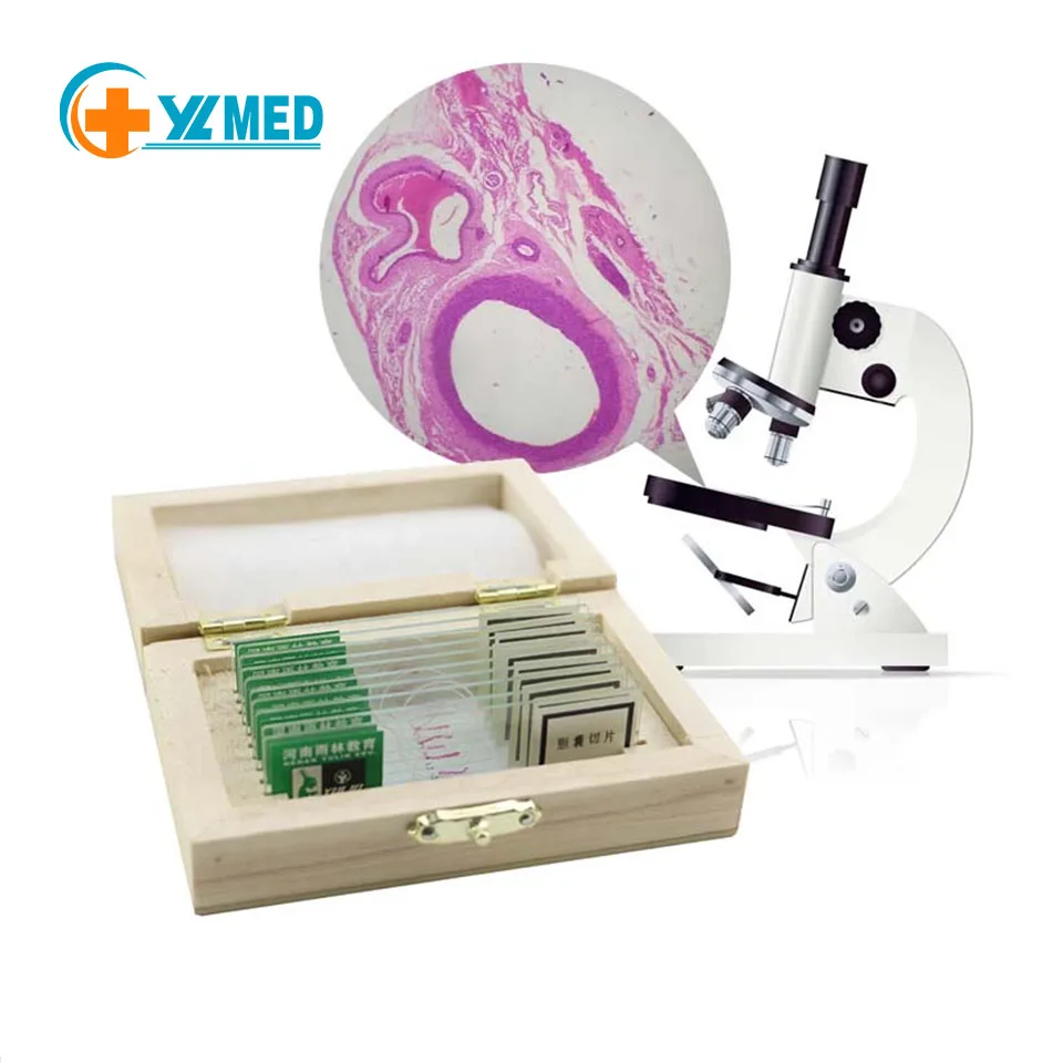 Medical science teaching resources zoology Microscope Prepared Slides animal cells mixed microscope prepared slides