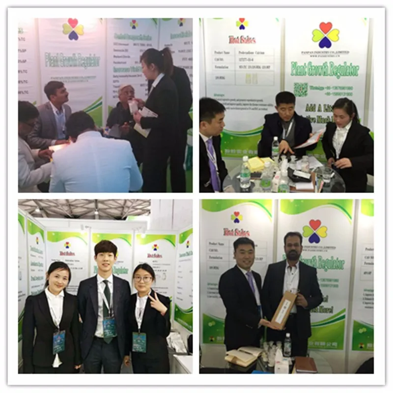 Panpan Chemical IBA-K Plant Growth Regulator IBA-K Rooting