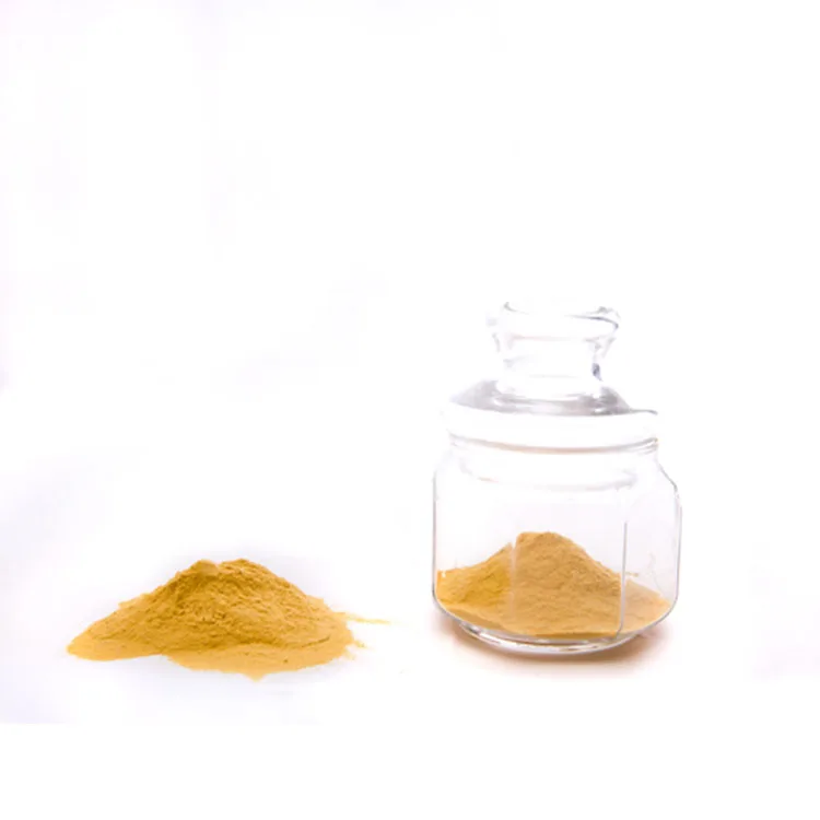 Factory Supply  Sea buckthorn powder Fruit Extract Powder