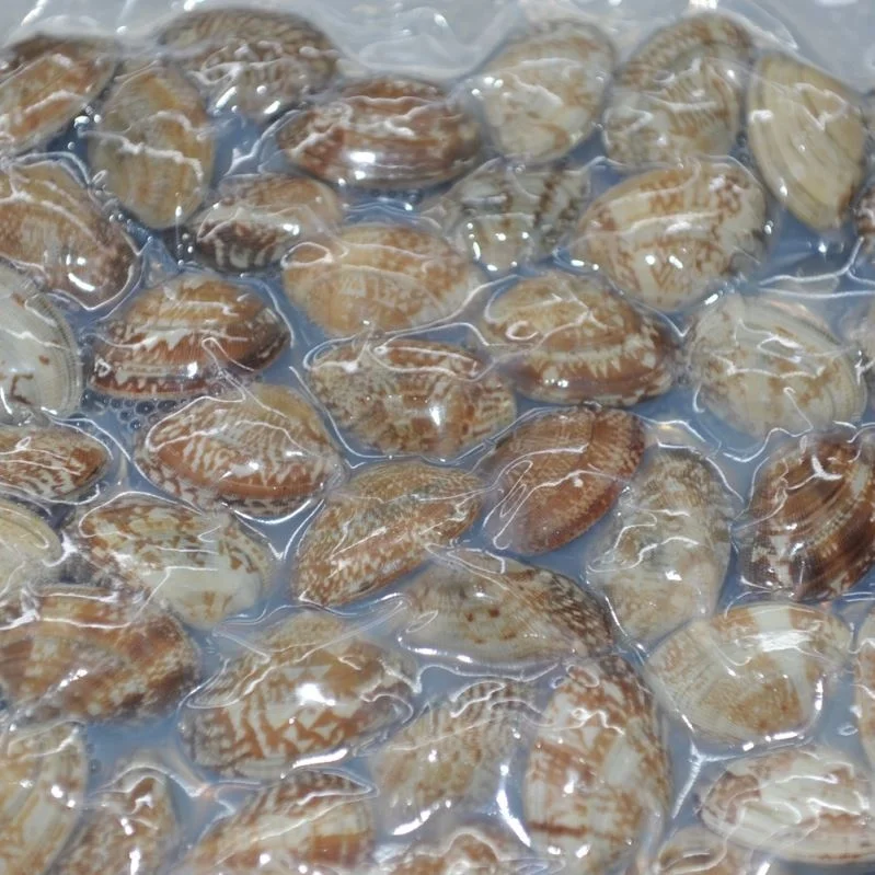 
Vacuum-Packed Frozen Fresh Cooked Yellow Clam Meat Cockle 