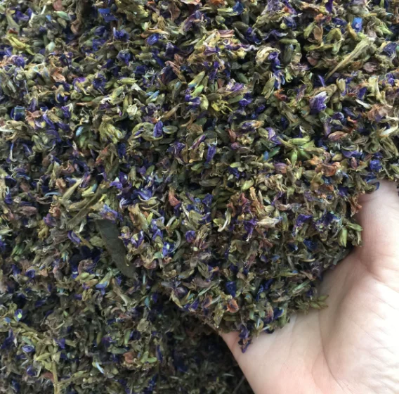 
High quality natural raw dried Flower of Kudzuvine flos puerariae 