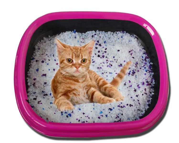 Cat Litter Odor Removal High Adsorption Cheap Sand For Cats