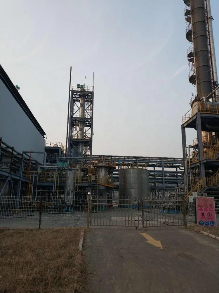 
High Quality Bremelanotide PT 141 CAS 189691-06-3 