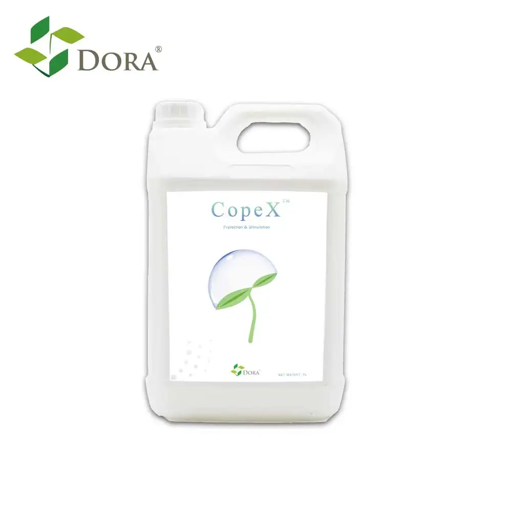 Ухаживайте за свисающей плесенью на ранней стадии роста урожая, Нетоксично-Дора копекс