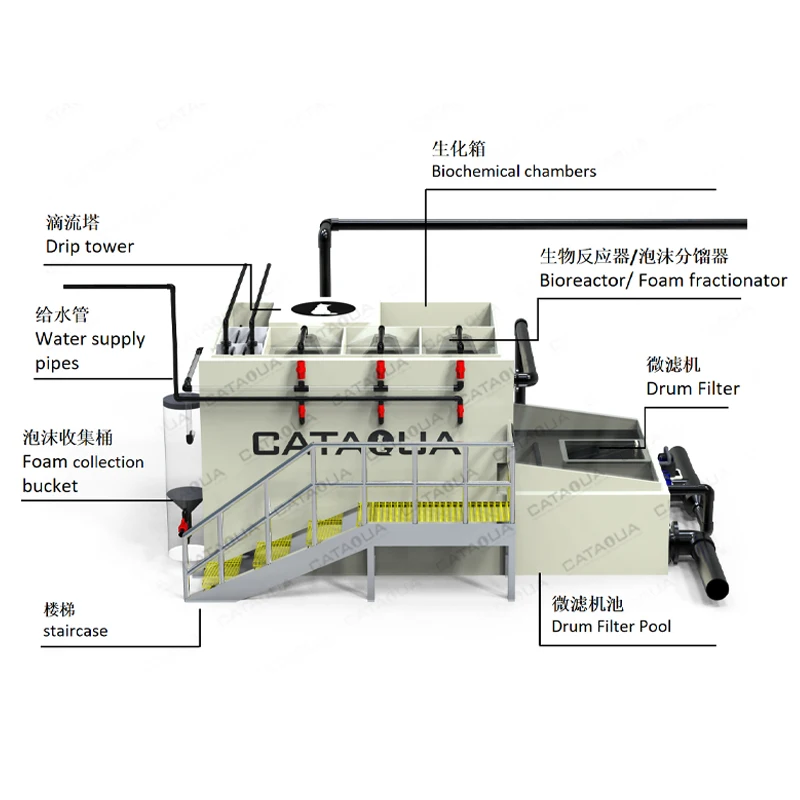 CATAQUA Agricultural Equipment Indoor Growing Systems Integrated Commercial Ras System