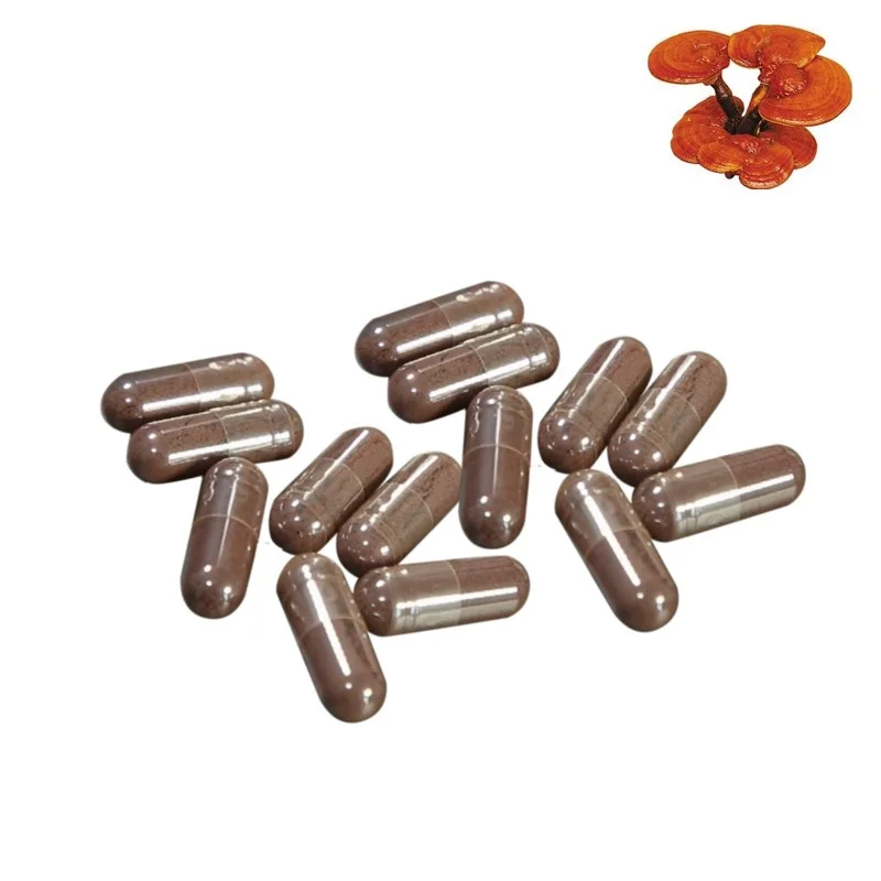 
Herbal Reishi Ganoderma Extract Powder Capsules For Lower High Blood Pressure 
