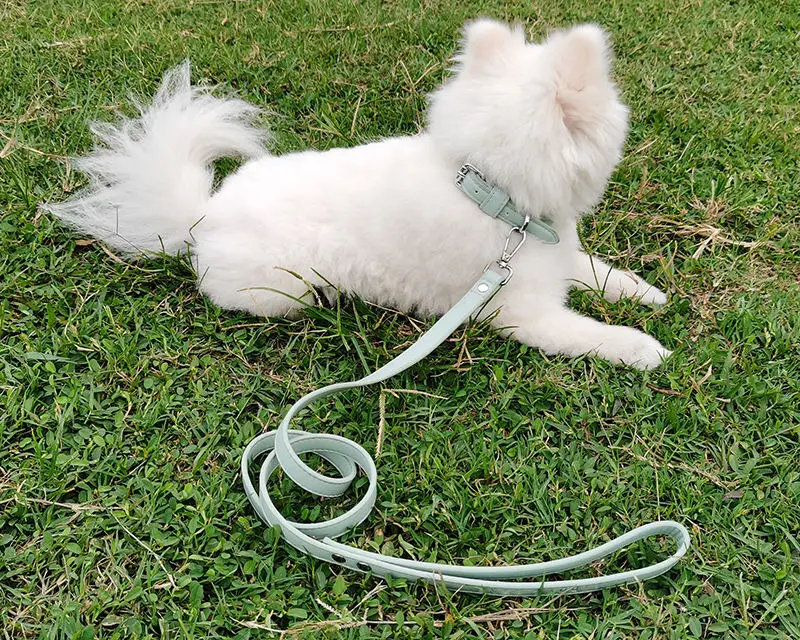 OEM/ODM Fashion Custom Color Luxury Waterproof PU Leather Pet Dog Collar