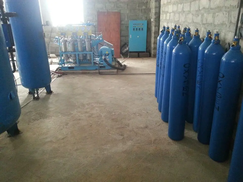 High Quality Psa Oxygen Generators High Quality Zeolite Molecular Sieve Oxygen Concentrator High-purity Food-grade Stainless Ste