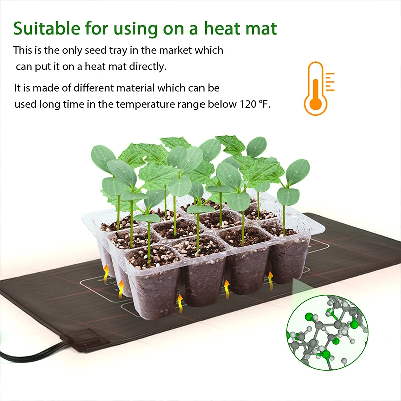6 cell Transparent Plastic Plant Propagator Seed Trays 12 Cells Seedling Starter Germination seed Tray