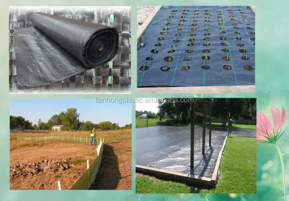 Woven Weed Control Pp Weed Control Mat Garden Landscape Fabric For Blueberry Factory Price Shandong Factory Direct Sale