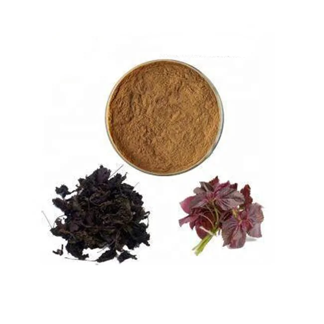Натуральное сырье, трава периллы, Китайский Фиолетовый базилик/экстракт листьев дикого базилика в порошке