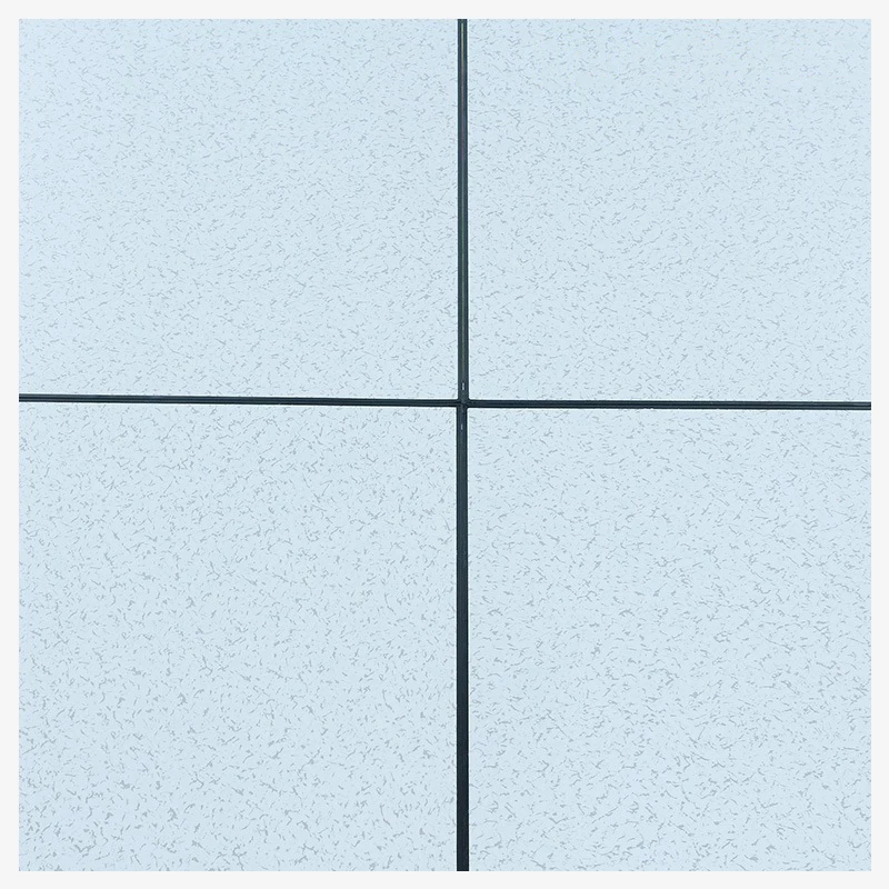 high quality OA network steel raised access floor for office building