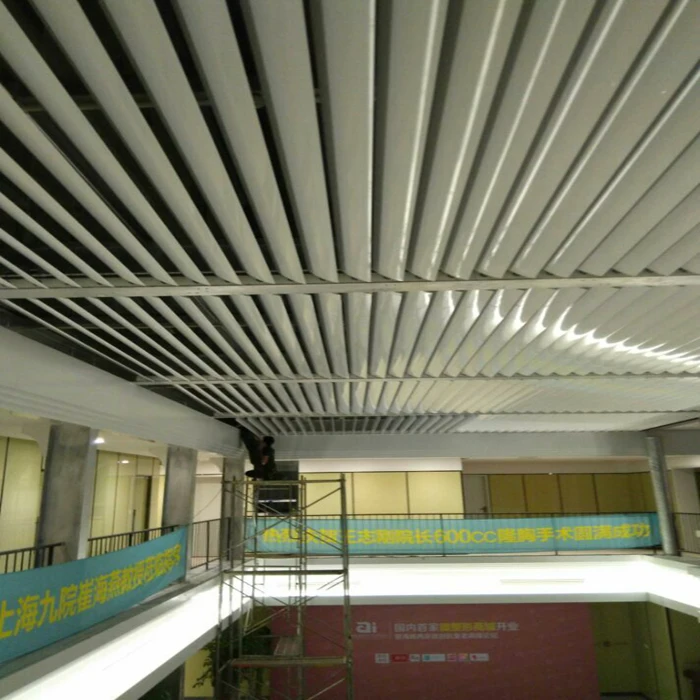 AS2047 TOMA extruded aluminium wing and profile aircraft wing design aluminium for tiny house