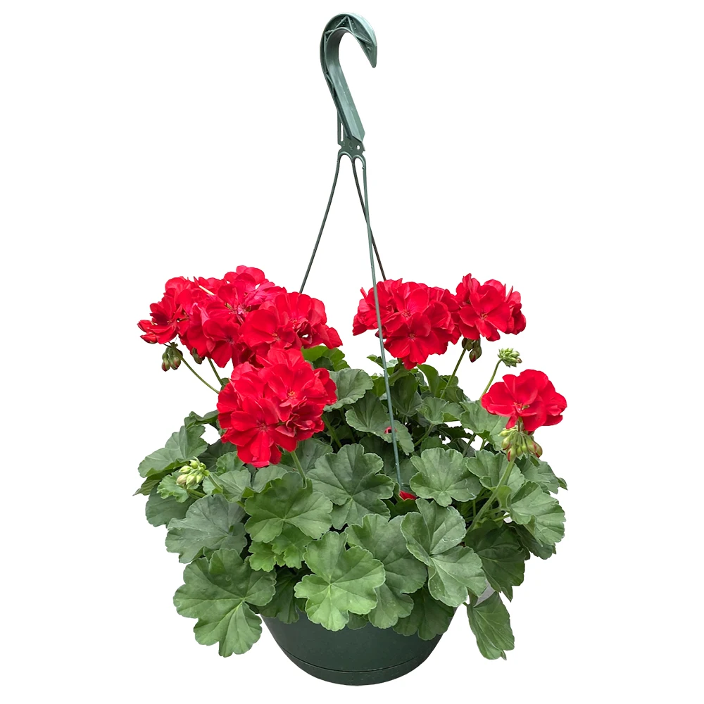 Home Durable Plant Garden Supplies Plastic Hanging Basket Planter Horticulture Flower Pots Hanging Pot