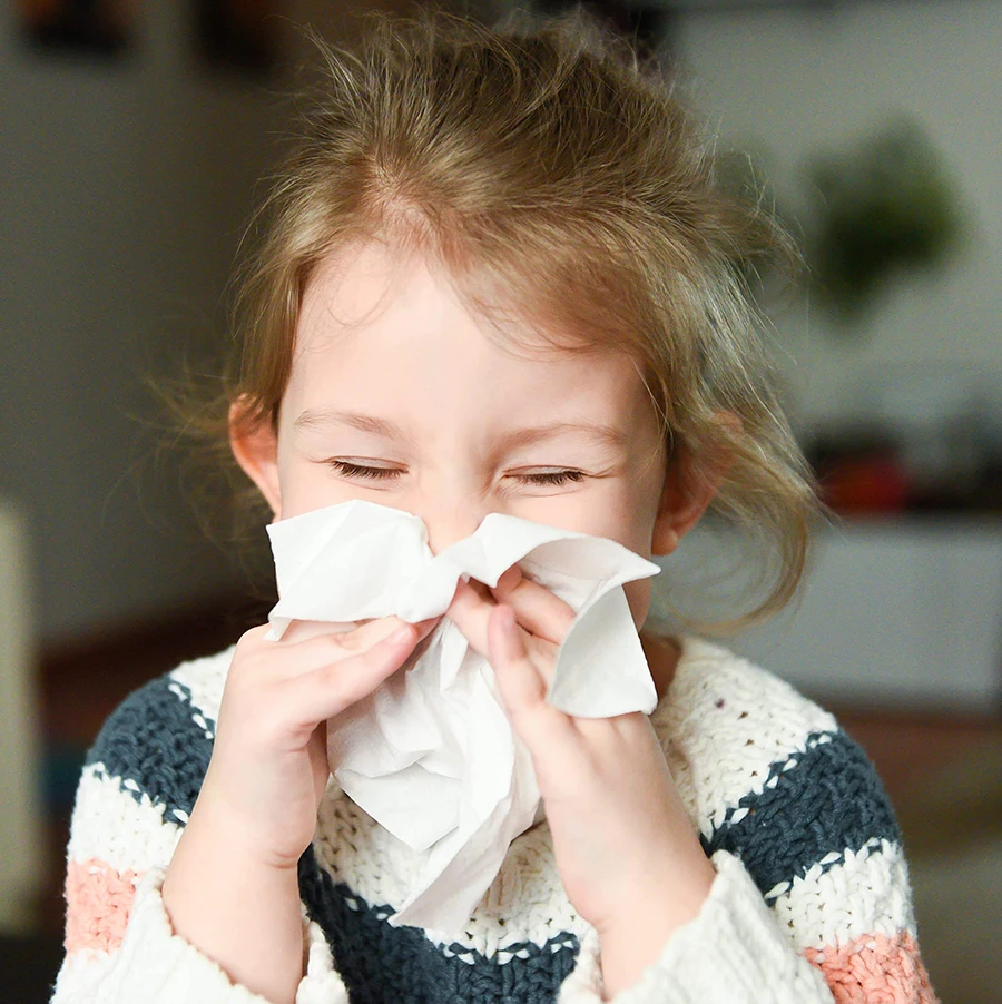 Organic Pure Wood Pulp Toilet Tissue Oem Toilet Paper Import Bathroom Tissue