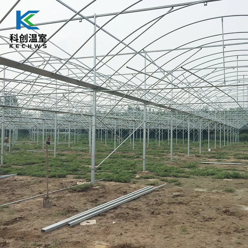 
2021 Hot Selling Farming Vegetables Multi-Span Film Commercial Green House 