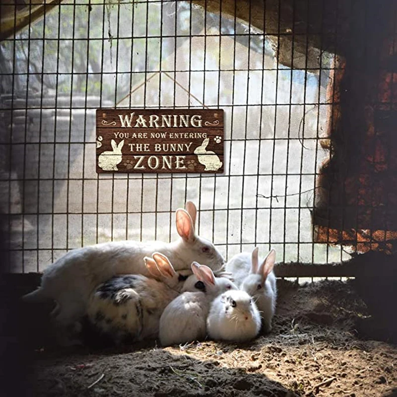 12x6 Inch The Bunny Zone Funny Rabbit Sign Home Decor Gift Mom Lover Easter Wall Hanging