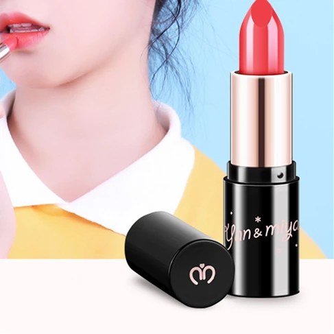 Matte Lipstick Long Lasting High Pigmented Waterproof 4 Colors Lip Gloss Kit For Lips Makeup