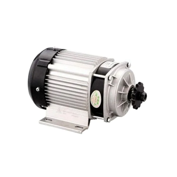 Hot sale Brush Motor for E Rickshaw OEM&ODM is Available