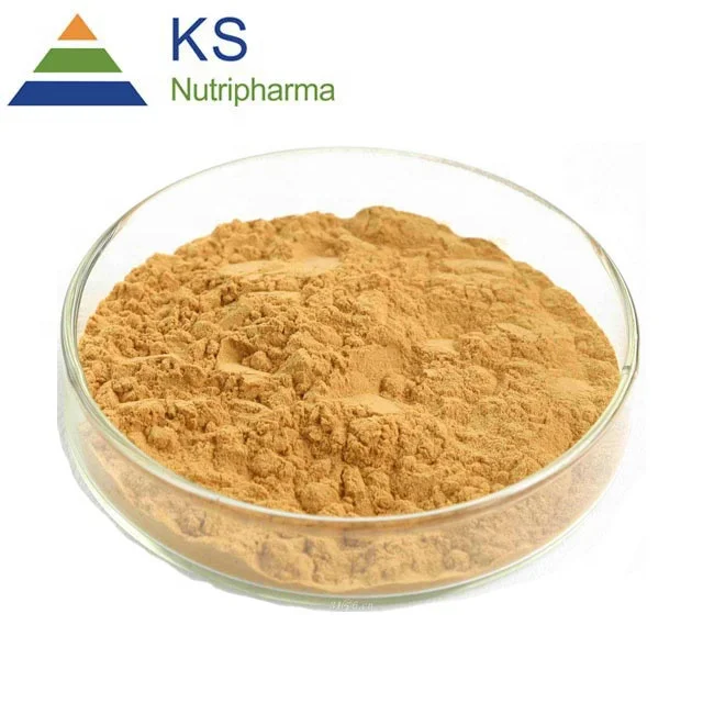 
Factory supplier Natural ingredient Ginkgo biloba extract 24/6 