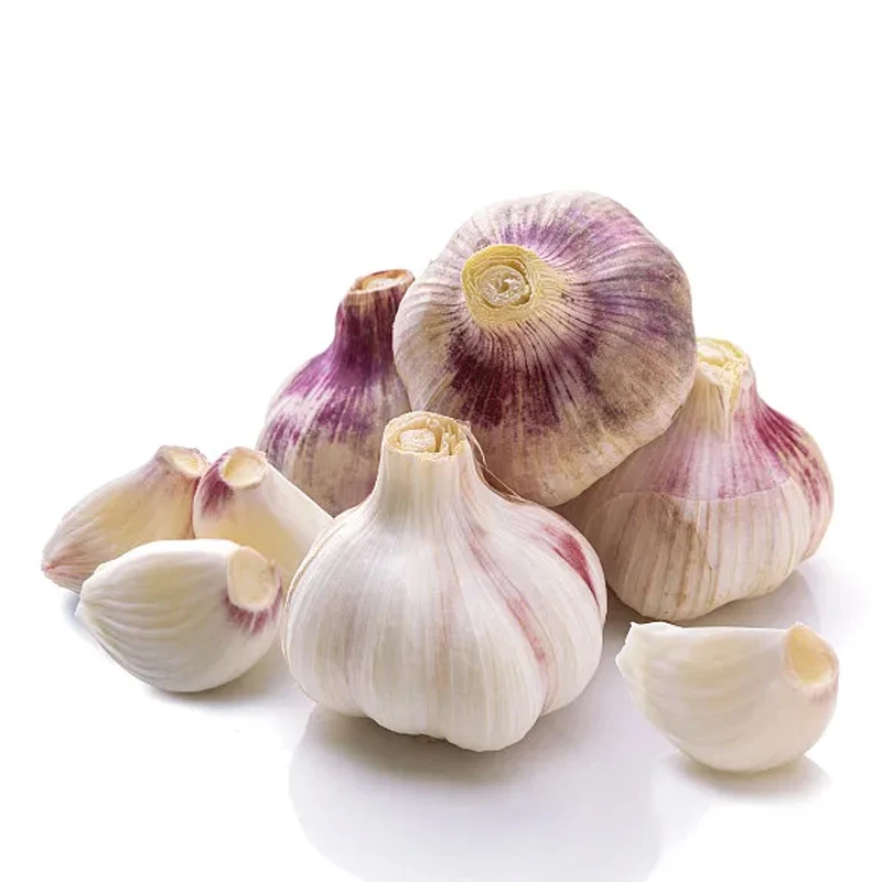fresh Non-peeled white garlic with GLOBAL GAP from China normal white/purple/red /Natural White Garlic