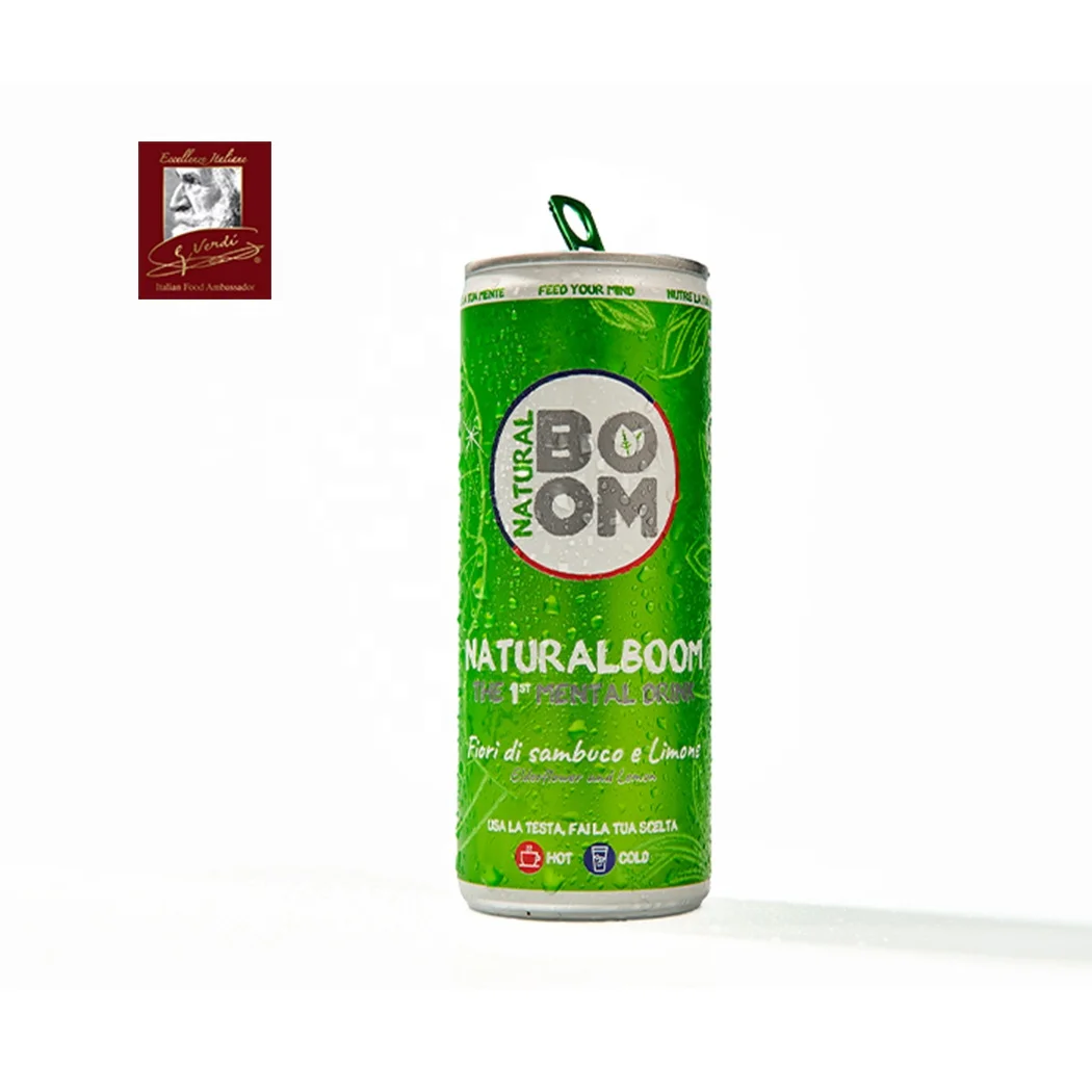 Mental Drink with Eldflower and Lime 250 ml can GVERDI Selection Made Italy Soft Tea based drink hot and cold