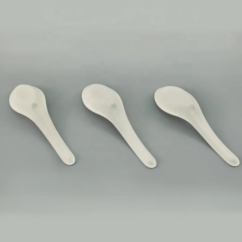 Biodegradable Disposable Paper Sugarcane Bagasse Chinese Soup Dinner Spoon For Serving