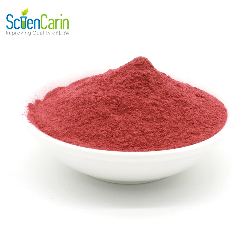 Hot Sale Natural Botanical 10:1 20:1 Red Beet Root Beetroot Juice Extract Powder