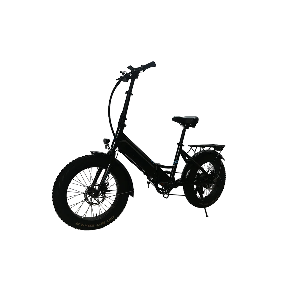 New Arrival Electric Bicycle Mini Folding E Bike Snow Bike Fat Tire 350W Brushless Motor