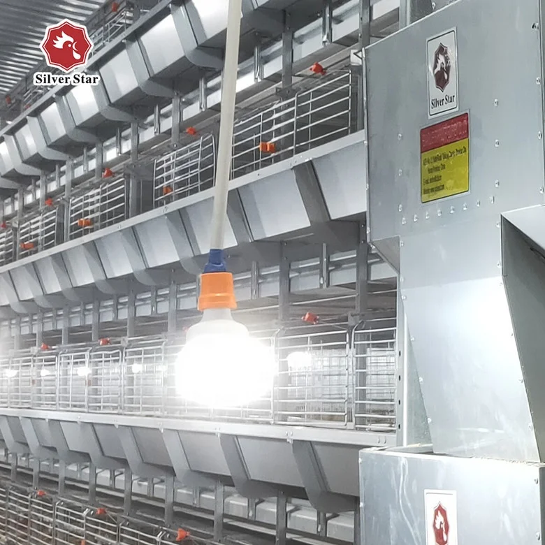 Chicken cage automatic broiler farm equipment /farm cage for day old growing broiler