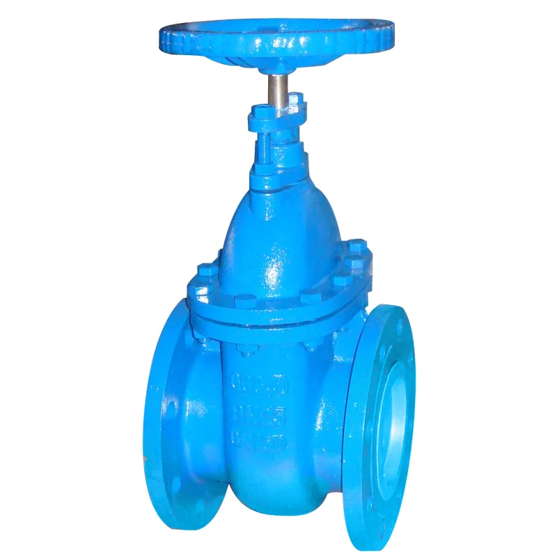 worm gear operated jis 10/ansi 125/150 cast iron gate valve , rising stem flange end