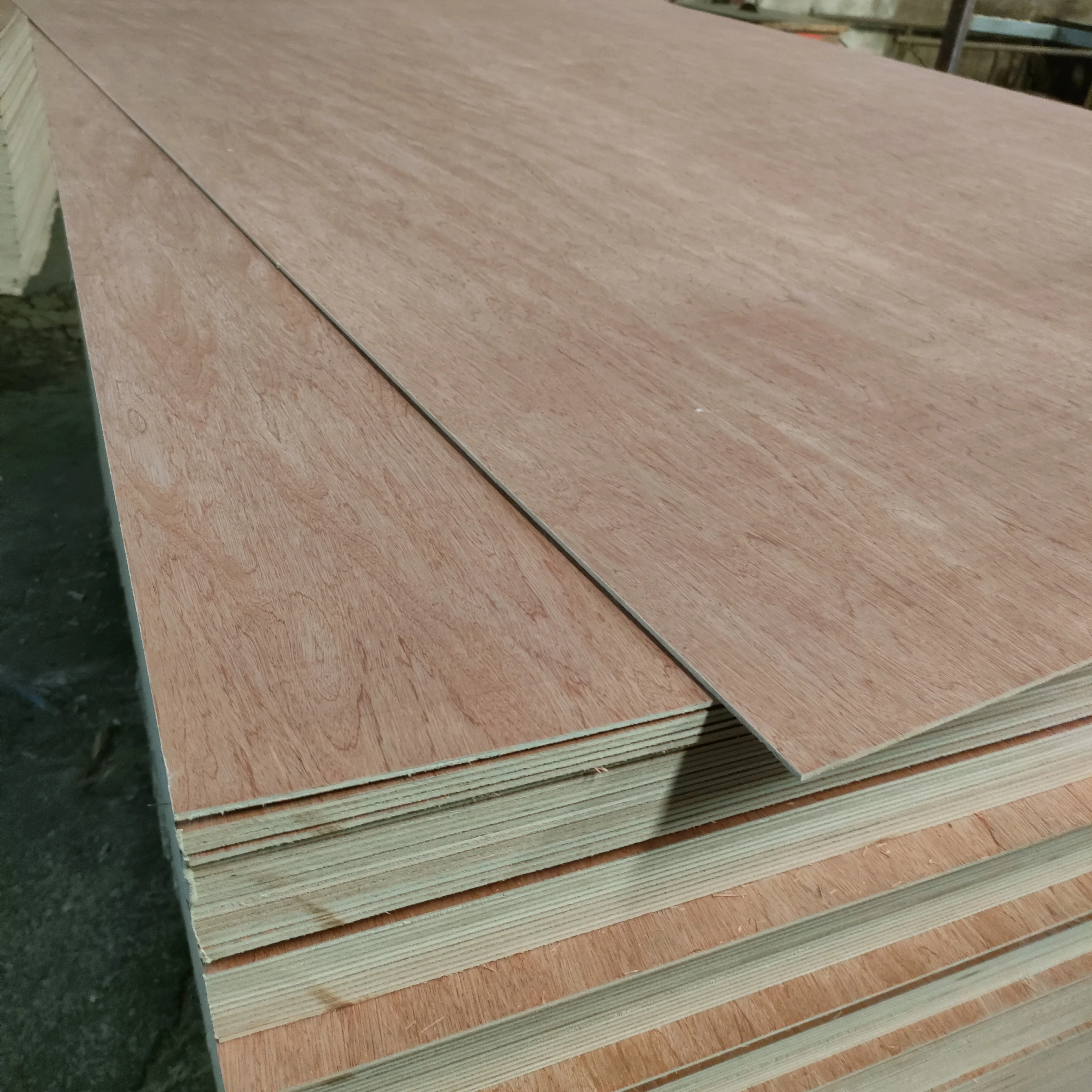 Linyi high quality 3-30mm E0/Phenolic glue full birch plywood manufacturer