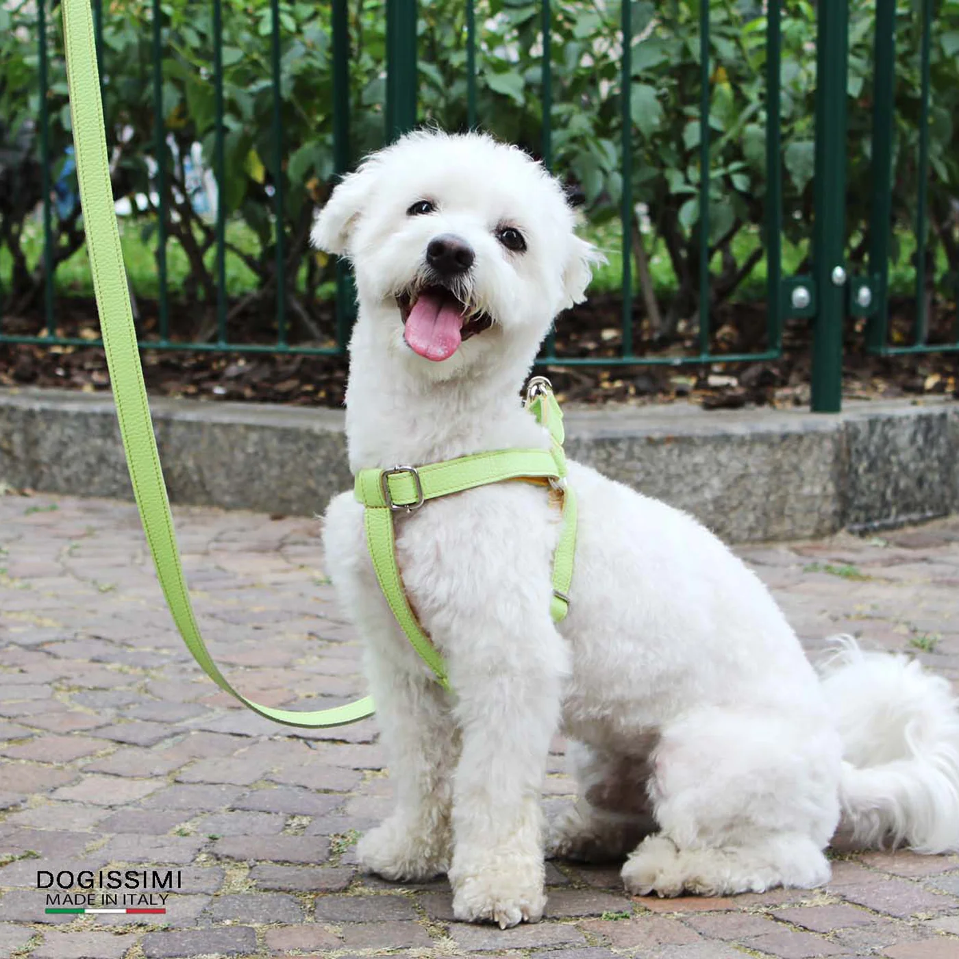 Essential Line Genuine Leather Dog Harness High Quality and stilish Pet accessories for outdoor adventures