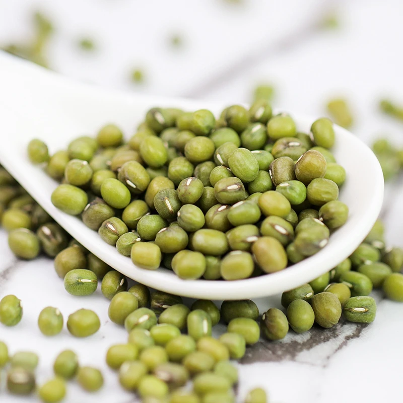 Chongqing High-quality Market Price Green Mung Beans for