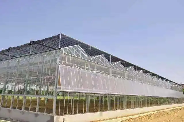 agriculture greenhouse guangzhou growing towers vertical garden hydroponic system
