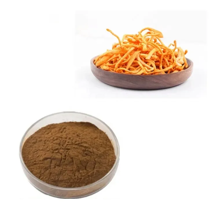 Top Quality Mycelium Cordyceps Polysaccharide 10% Cordyceps Powder Mushroom Extract Organic Cordyceps Sinensis Extract