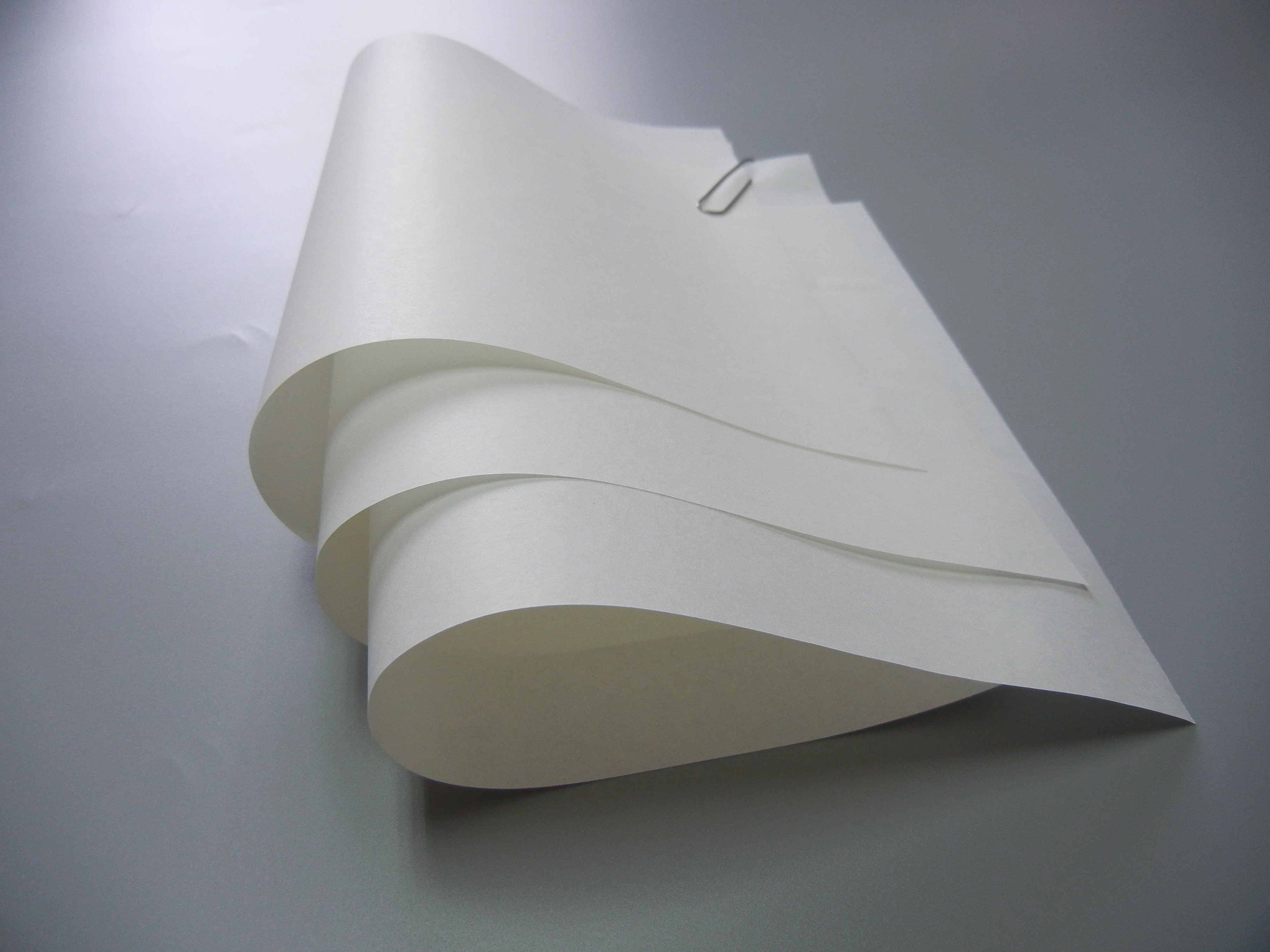
Virgin Pulp Style and Chemical-Mechanical Pulp Pulping Type Greaseproof Sandwich Paper 