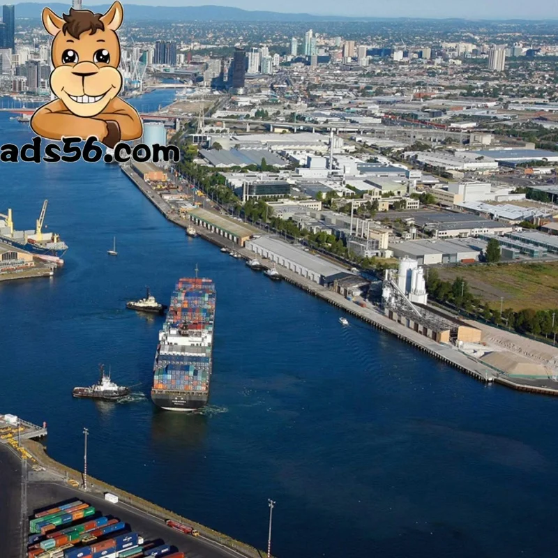 Door To Door Courier Service From China Fright Forwarder To Oman/UAE