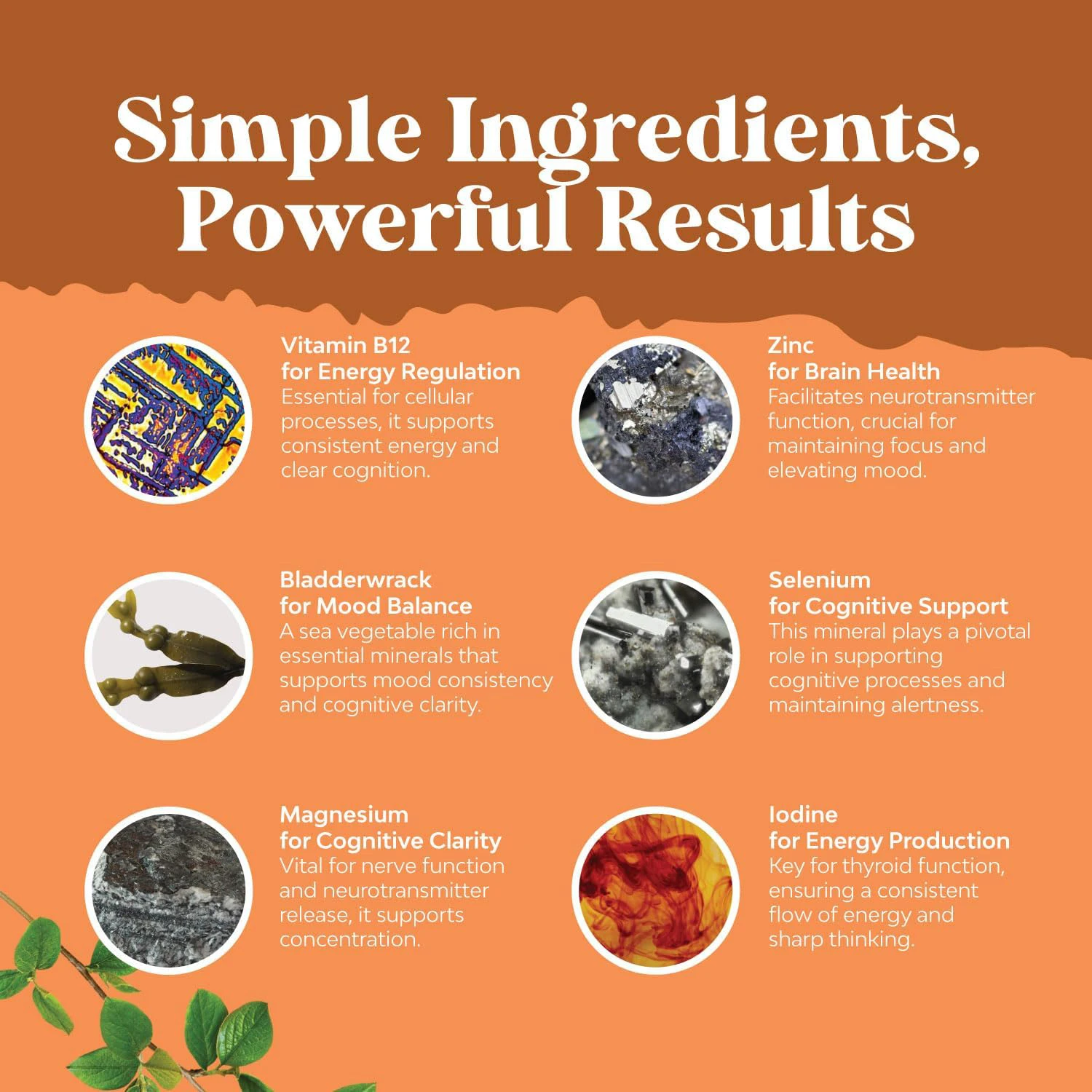 Herbal Thyroid Support Complex  Iodine Thyroid Supplement with L Tyrosine Bladderwrack Kelp Selenium and Ashwagandha Capsules