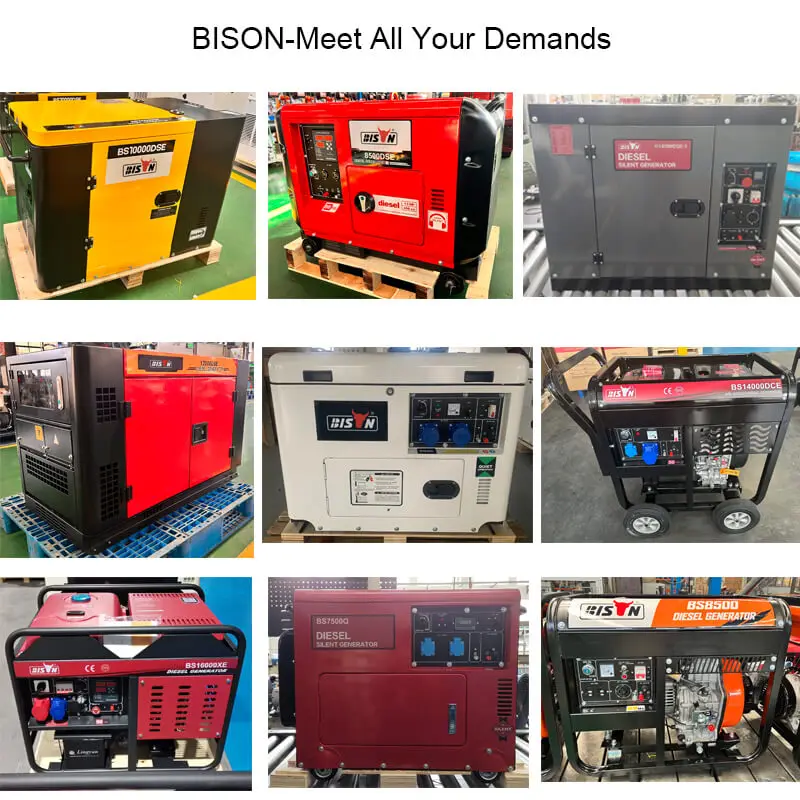 BISON 3 Phase 380V Electric Start 8Kva Diesel Silence Generator
