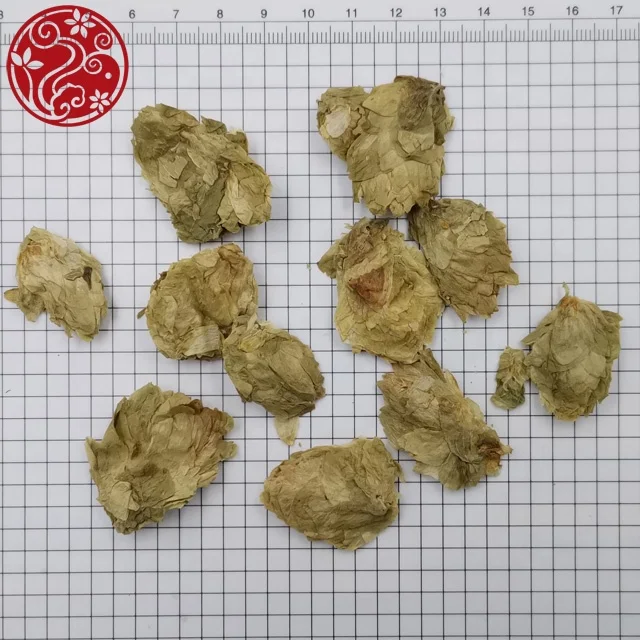 natural health Pi Jiu Hua Humulus lupulus L. Hops Strengthen the spleen promote digestion