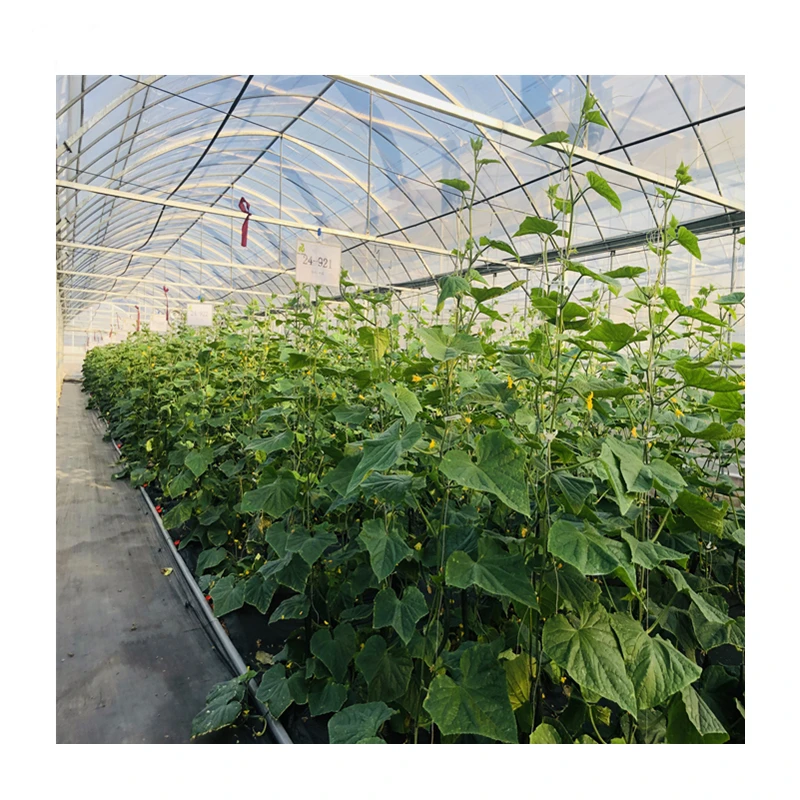 used sale and multi span agricultural greenhouses aeroponic tower garden vertical hydroponic system