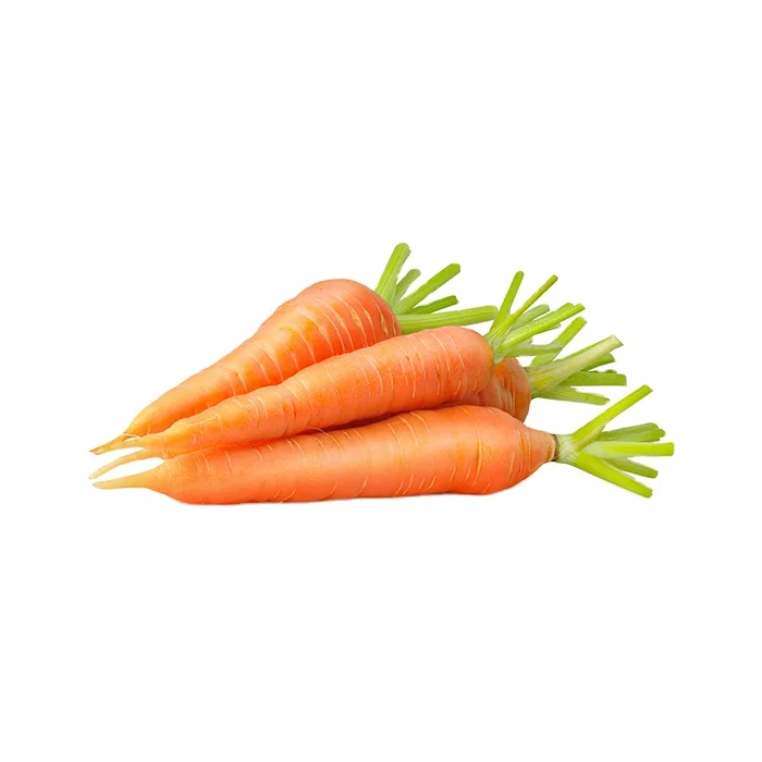 China Fresh Carrot Packed in Carton  Bulk Carrots Export Wholesale Price