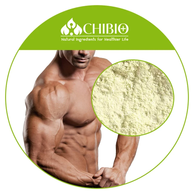 
Pure Textured Pea Protein Concentrate Isolate Powder for Fat Binder Plant-Based Meat 
