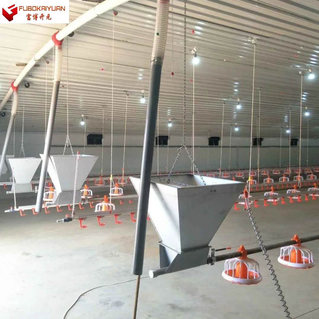 automated breeding equipment of large chicken coop poultry farm equipment feeder line chicken