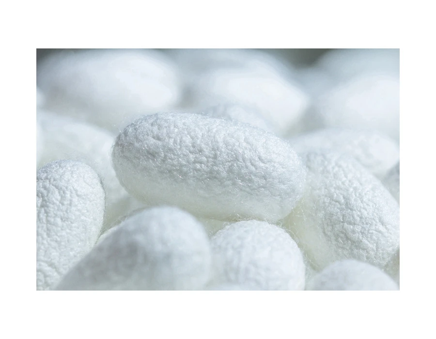 Artificial Breeding 100% Natural Quality Cocoons Silkworm Balls Facial Ski Set Raw Silk Cocoon