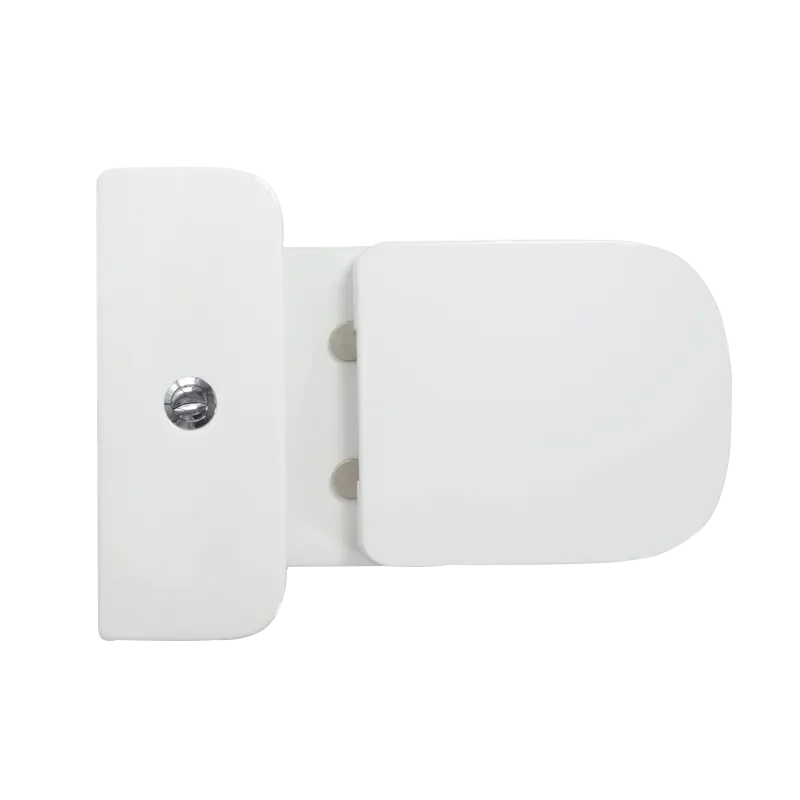 White lavatory toilette wc pan dual flush ceramic floor mounted sanitary ware luxury vanity washroom design toilet and shower