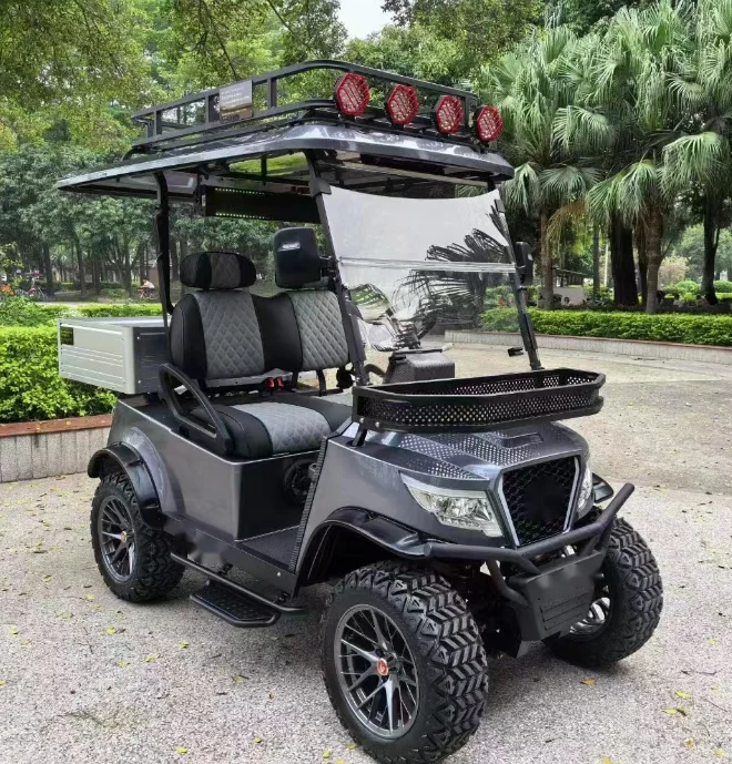 4 Wheel luxury 2 Person Golf cart with Cargo Box 48V Electric Golf Car Aluminium Rear Cargo Box